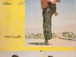 13 Akbar Sasanian 1982